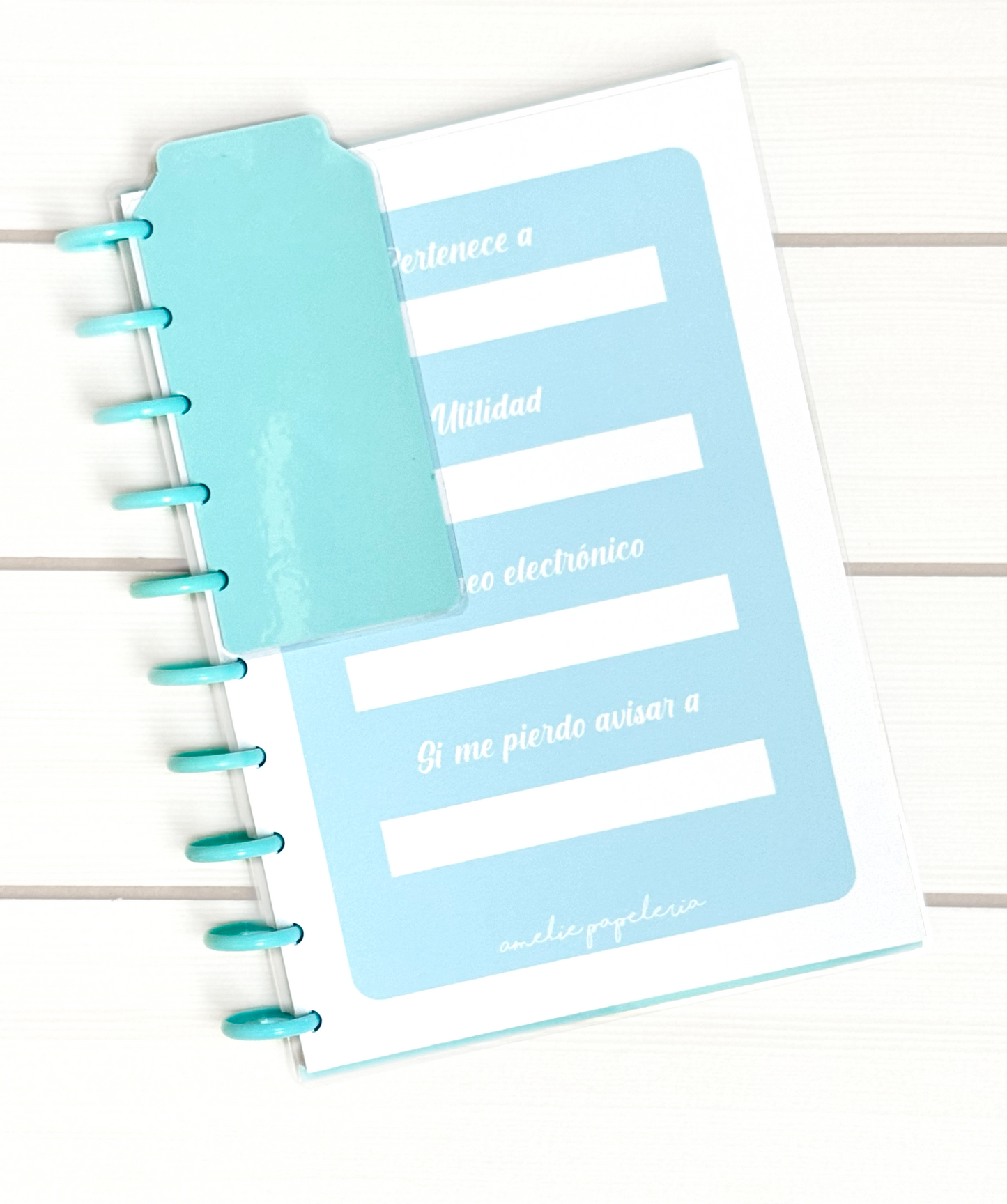 Cuaderno de discos L Celeste