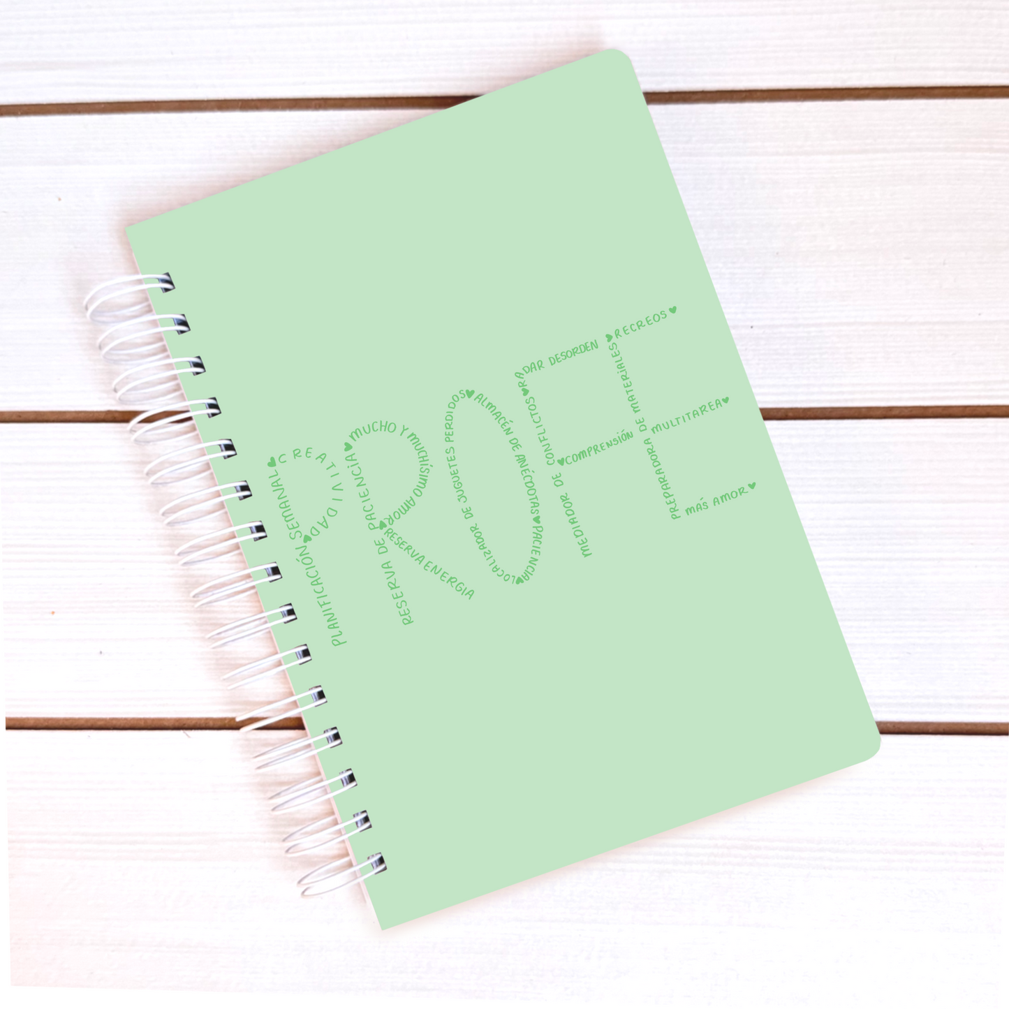Cuaderno + planificación profe