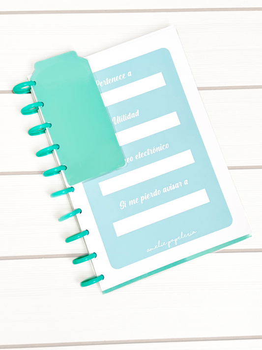 Cuaderno de discos L Verde menta