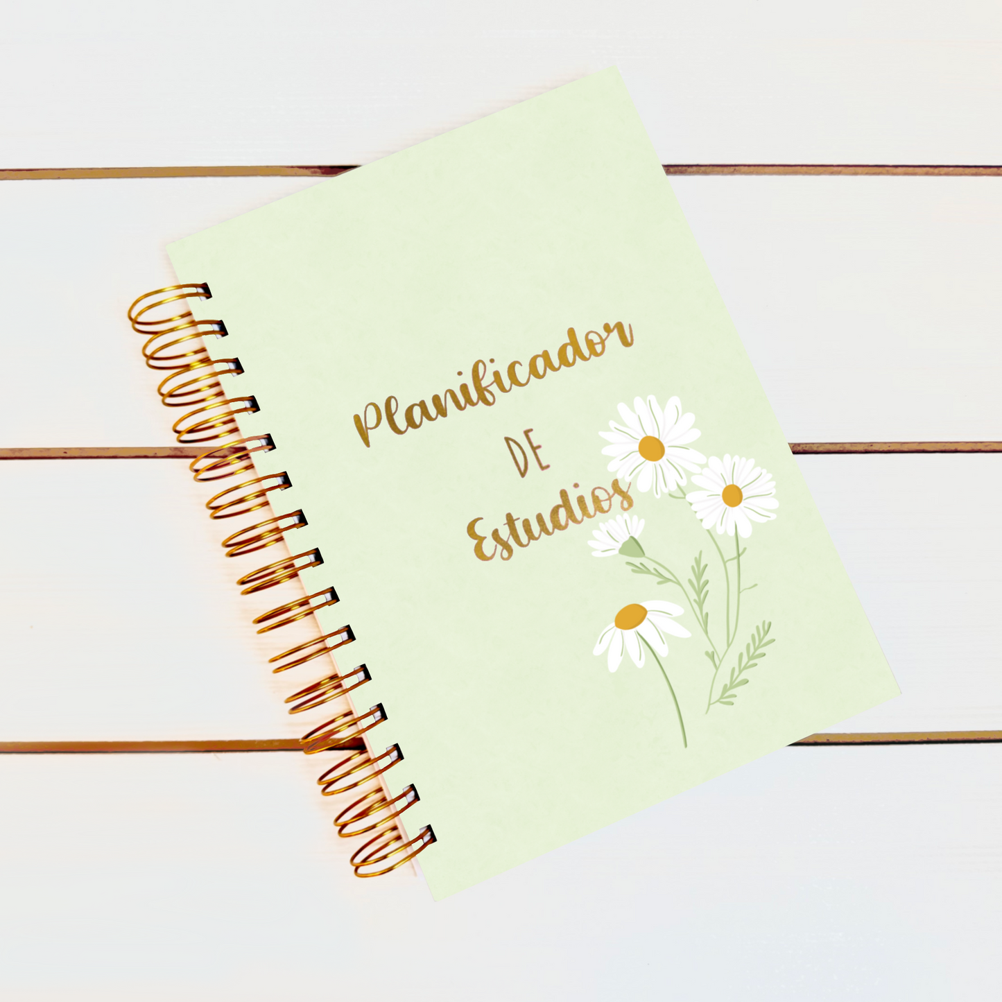 Planificador de ESTUDIOS